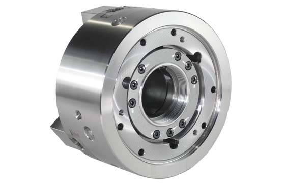 KIW - BB206 - Back KIW - BB206 - Back